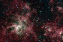 Spitzer's View of the Tarantula Nebula (NASA-JPL-Caltech 2020)