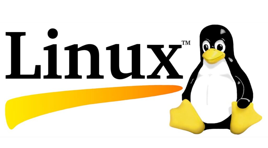 ‘I’m not a programmer’ anymore: Linus Torvalds on the only two tools he uses now